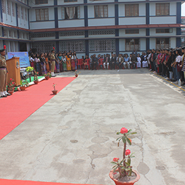 Gallery Cover 2023 - 2024